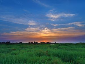 Preview wallpaper salicornia, field, sunset, horizon, grass, sky, clouds