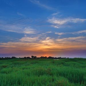 Preview wallpaper salicornia, field, sunset, horizon, grass, sky, clouds