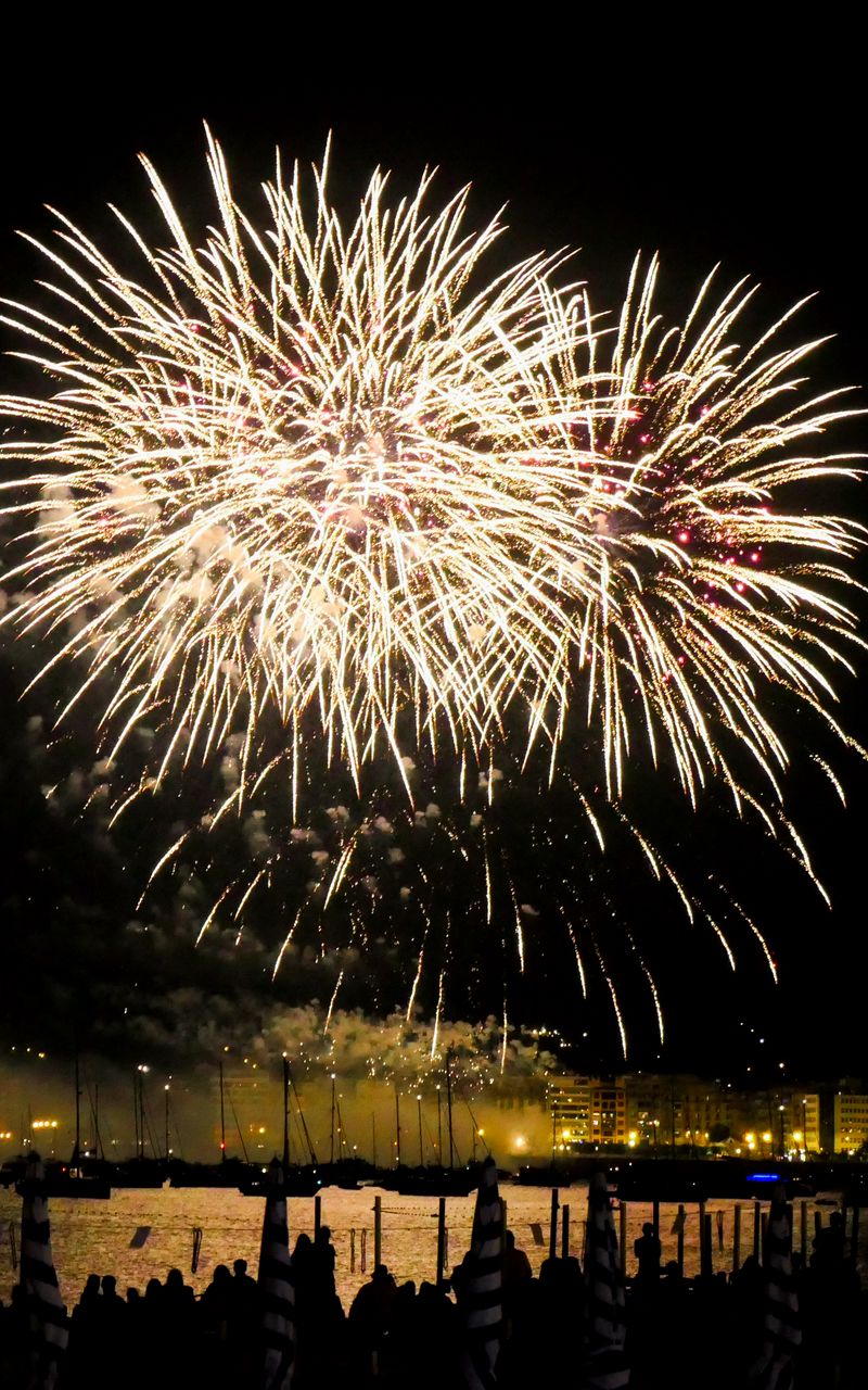 800x1280 Wallpaper salute, fireworks, sky, dark