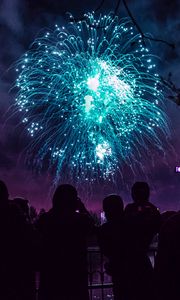 Preview wallpaper salute, holiday, fireworks, night