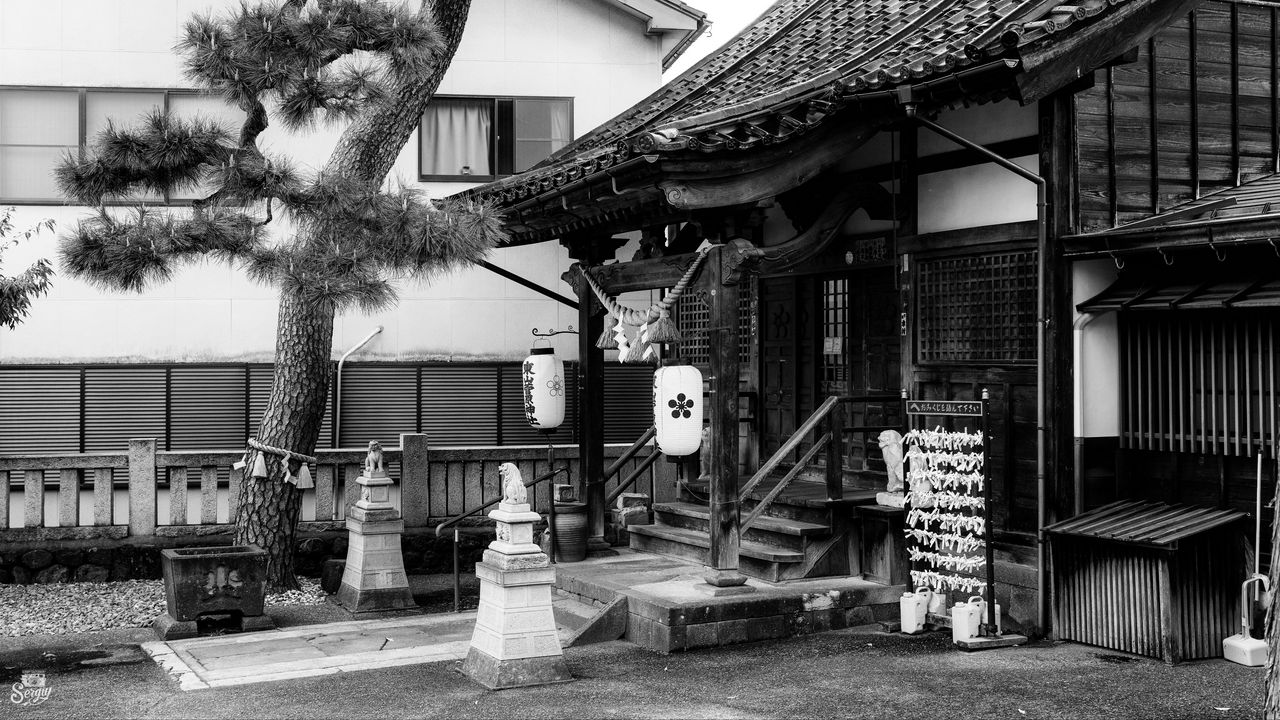 Wallpaper sanctuary, lanterns, tree, interior, bw
