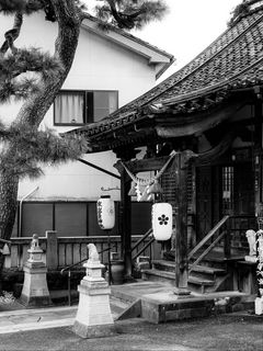 240x320 Wallpaper sanctuary, lanterns, tree, interior, bw