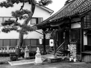 Preview wallpaper sanctuary, lanterns, tree, interior, bw