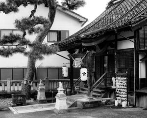Preview wallpaper sanctuary, lanterns, tree, interior, bw