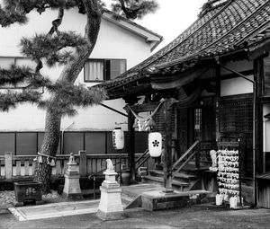Preview wallpaper sanctuary, lanterns, tree, interior, bw