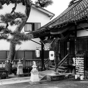Preview wallpaper sanctuary, lanterns, tree, interior, bw