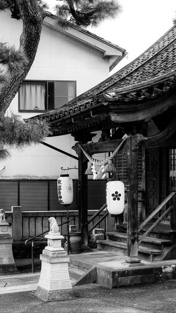 360x640 Wallpaper sanctuary, lanterns, tree, interior, bw