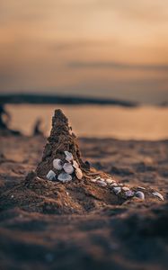 Preview wallpaper sand, beach, conch, sea