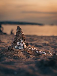 Preview wallpaper sand, beach, conch, sea