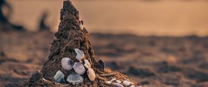 Preview wallpaper sand, beach, conch, sea