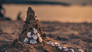 Preview wallpaper sand, beach, conch, sea