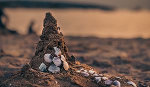 Preview wallpaper sand, beach, conch, sea