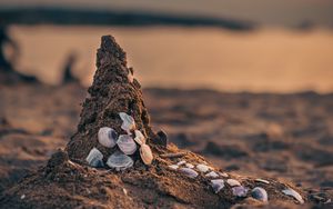 Preview wallpaper sand, beach, conch, sea