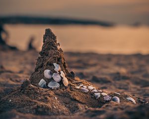 Preview wallpaper sand, beach, conch, sea