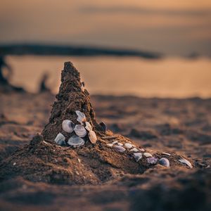 Preview wallpaper sand, beach, conch, sea