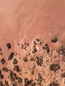Preview wallpaper sand, beach, moss, aerial view