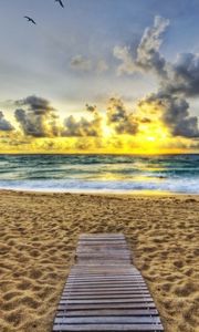 Preview wallpaper sand, coast, beach, evening, birds, decline, path