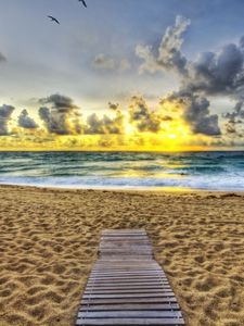 Preview wallpaper sand, coast, beach, evening, birds, decline, path