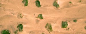 Preview wallpaper sand, desert, dunes, vegetation