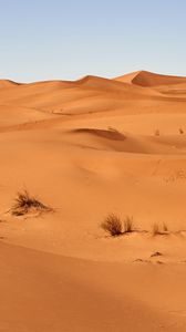 Preview wallpaper sand, desert, dunes, grass