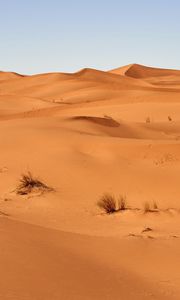 Preview wallpaper sand, desert, dunes, grass