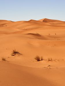 Preview wallpaper sand, desert, dunes, grass