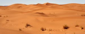 Preview wallpaper sand, desert, dunes, grass