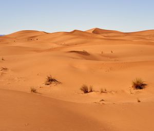 Preview wallpaper sand, desert, dunes, grass