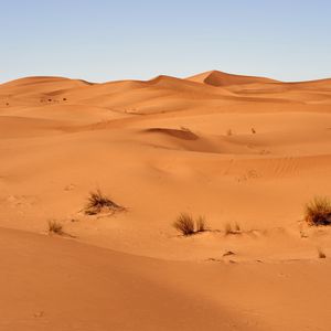 Preview wallpaper sand, desert, dunes, grass
