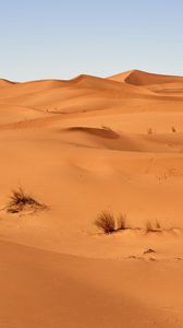 Preview wallpaper sand, desert, dunes, grass, sky