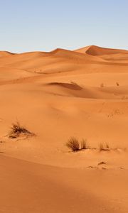 Preview wallpaper sand, desert, dunes, grass, sky