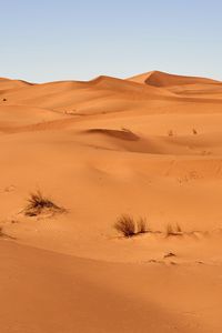 Preview wallpaper sand, desert, dunes, grass, sky