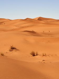 Preview wallpaper sand, desert, dunes, grass, sky