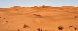 Preview wallpaper sand, desert, dunes, grass, sky