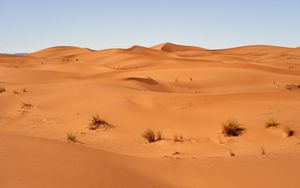 Preview wallpaper sand, desert, dunes, grass, sky