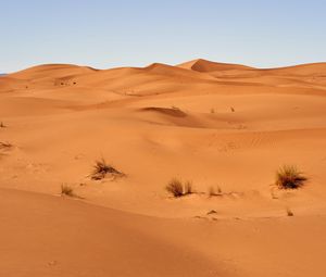 Preview wallpaper sand, desert, dunes, grass, sky