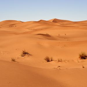 Preview wallpaper sand, desert, dunes, grass, sky