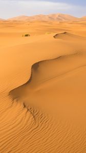 Preview wallpaper sand, desert, traces, hills, dunes
