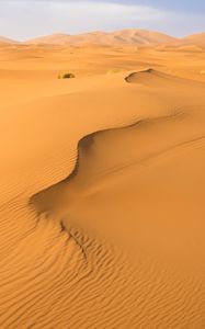 Preview wallpaper sand, desert, traces, hills, dunes