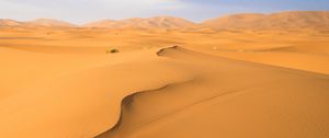 Preview wallpaper sand, desert, traces, hills, dunes