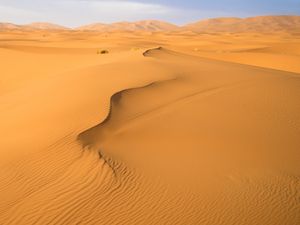 Preview wallpaper sand, desert, traces, hills, dunes