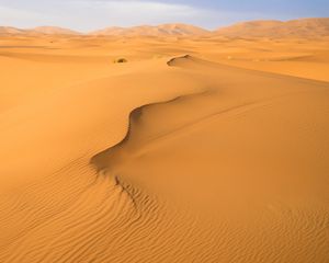 Preview wallpaper sand, desert, traces, hills, dunes