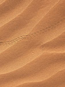 Preview wallpaper sand, desert, trail, dunes