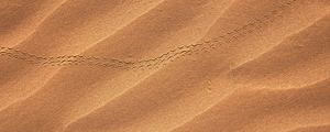 Preview wallpaper sand, desert, trail, dunes