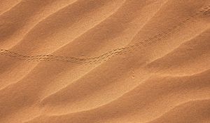 Preview wallpaper sand, desert, trail, dunes