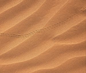 Preview wallpaper sand, desert, trail, dunes