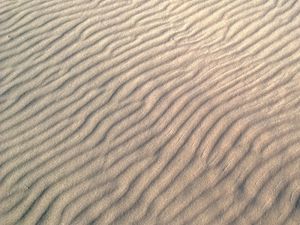 Preview wallpaper sand, desert, waves, relief, texture