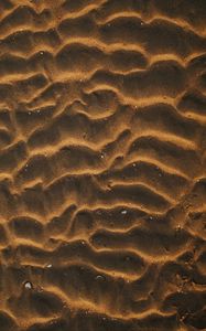 Preview wallpaper sand, desert, wavy, shells