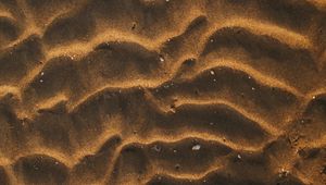 Preview wallpaper sand, desert, wavy, shells