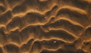 Preview wallpaper sand, desert, wavy, shells